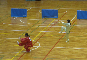 taikai-yousiki